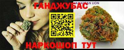 гашик Тула