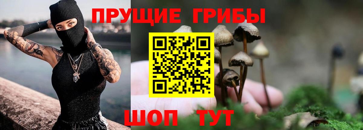 Галлюциногенные грибы Psilocybine cubensis  Галлюциногенные грибы ЛСД  Вход с VPN  Нижневартовск 